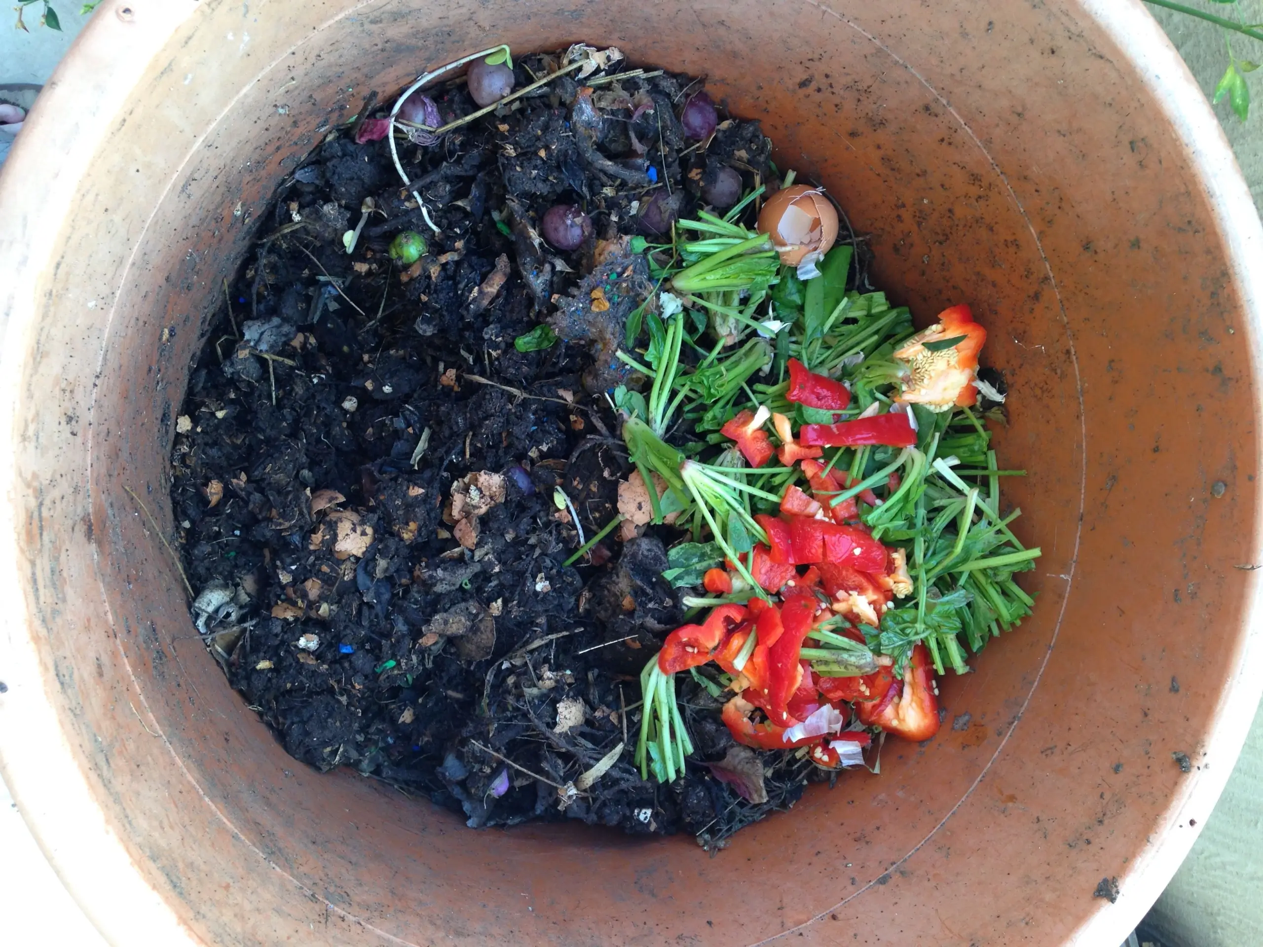 Boost Your Compost