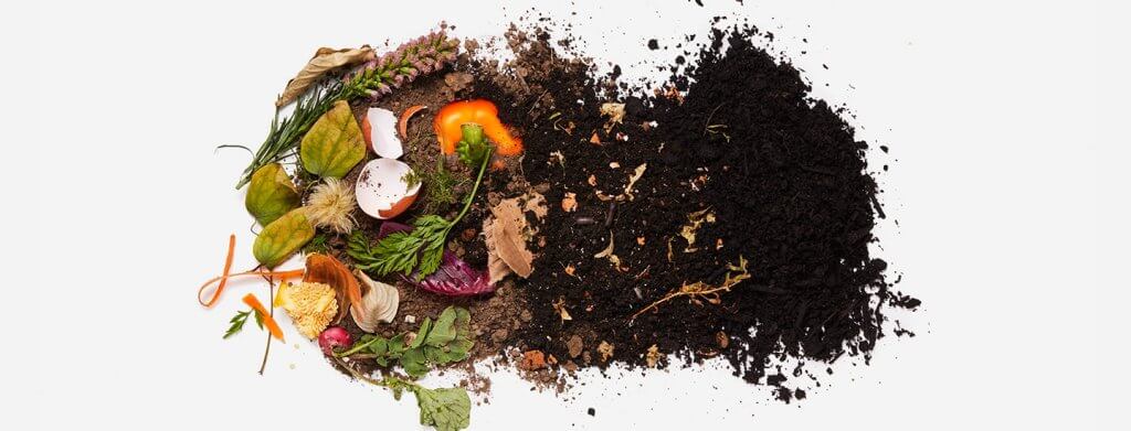 compost