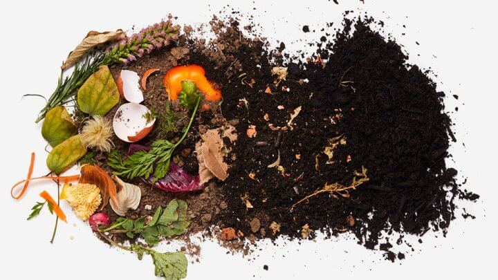 compost